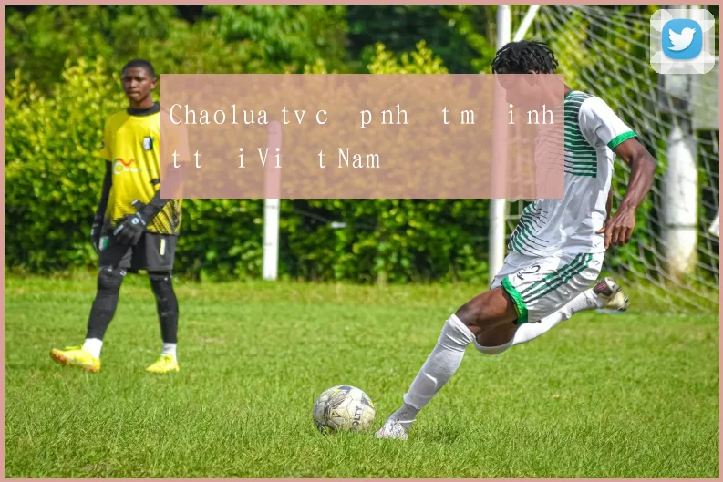Chaolua tv cập nhật mới nhất tại Việt Nam