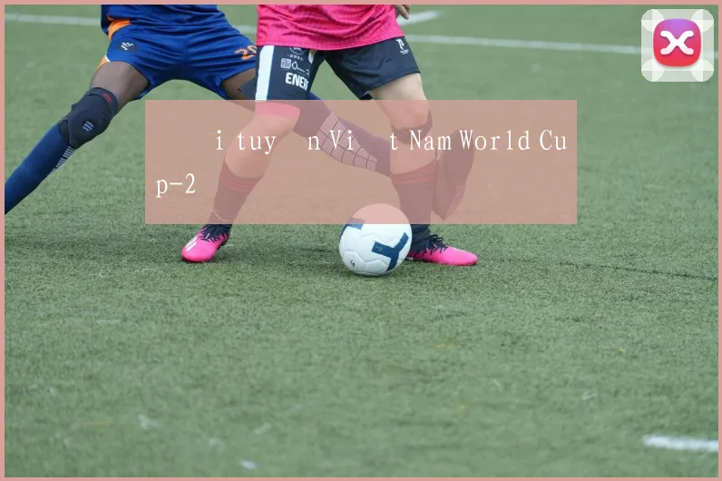 Đội tuyển Việt Nam World Cup